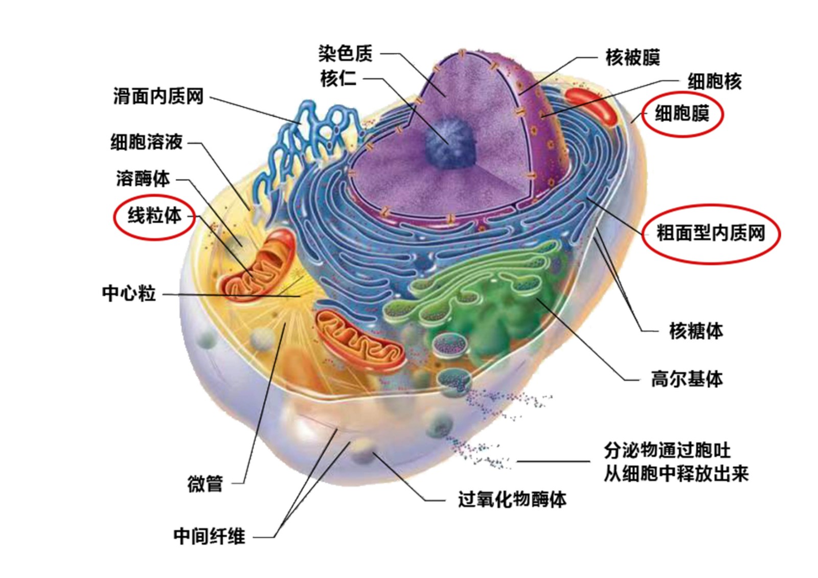 未标题-1.jpg